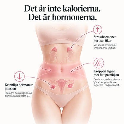 Scandi Balance – For kvindens velvære