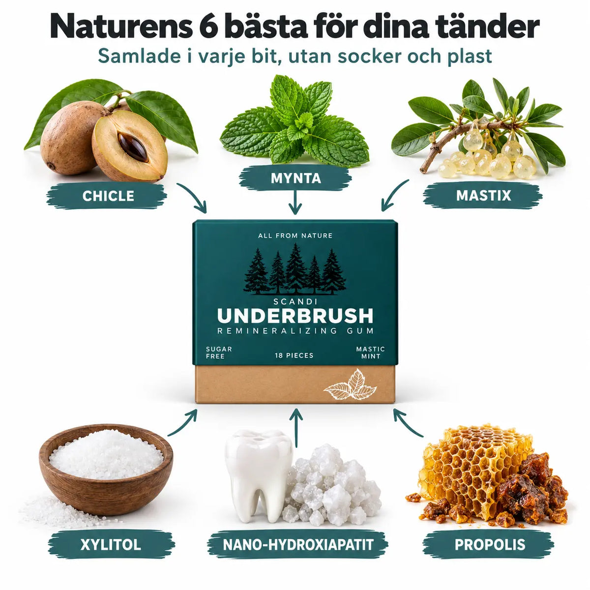 SCANDI - Remineraliserande tuggummi